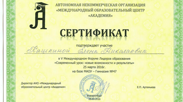 Сертификат участника каш 2016