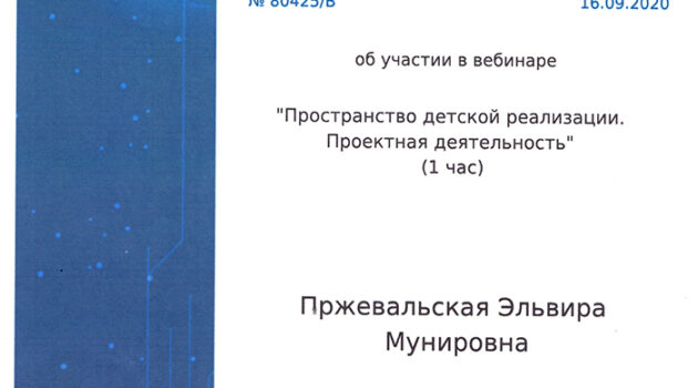 сертификат ПРОСТРАНСТВО ДЕТСКОЙ РЕАЛИЗАЦИИ2020